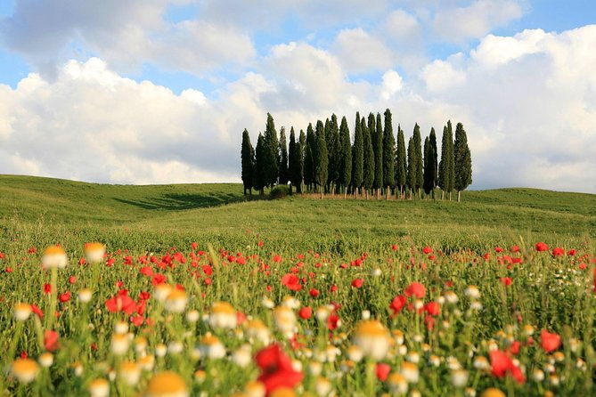 tuscany-tour-montepulciano-pienza-montalcino