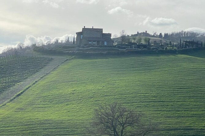 tuscany-tour-siena-san-gimignano-winery