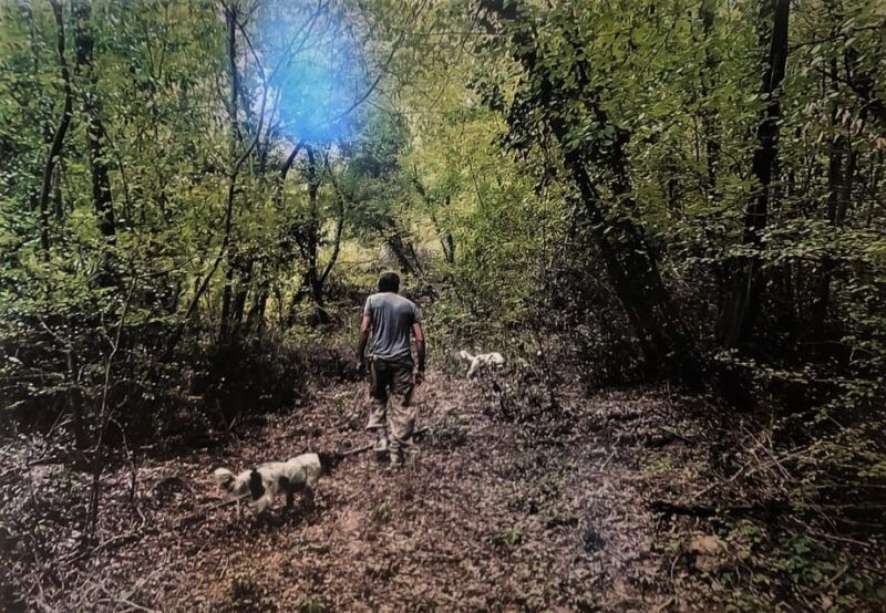 tuscany-truffle-hunting-experience-with-tasting