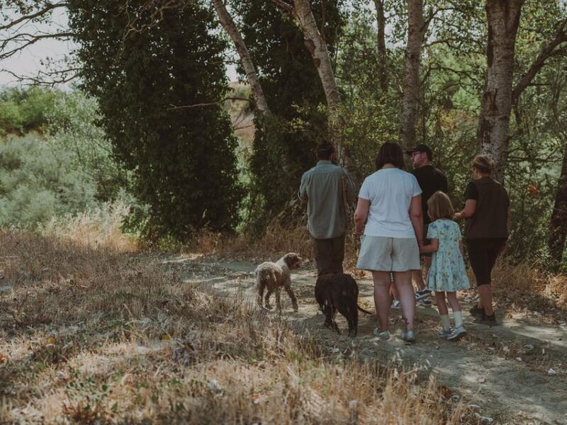 tuscany-volterra-truffle-hunting-experience