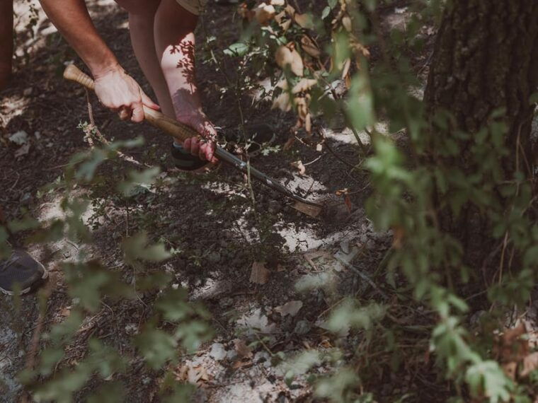 tuscany-volterra-truffle-hunting-experience