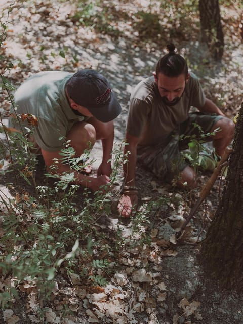 tuscany-volterra-truffle-hunting-experience
