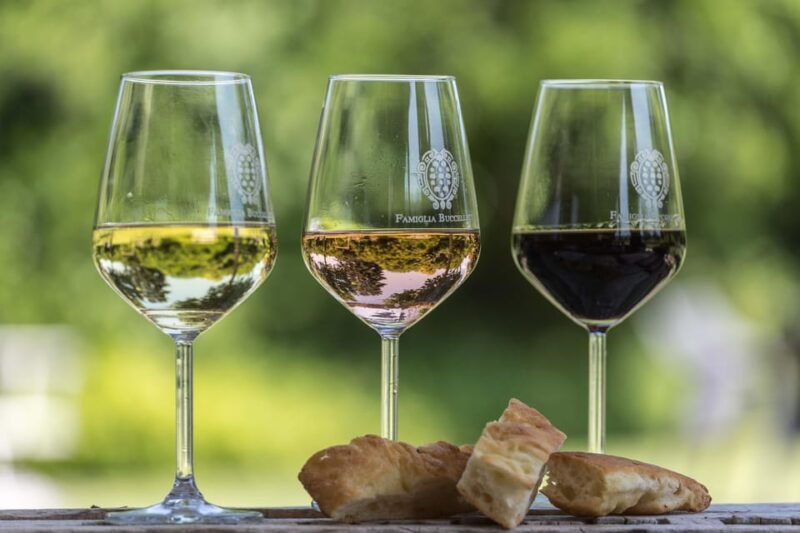 tuscany-white-wine-tasting-with-aperitivo-at-a-local-winery