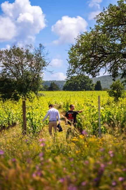 Tuscany: Wine Tasting Experience - Exploring the Poggioargentiera Winery: An Authentic Taste of Tuscany