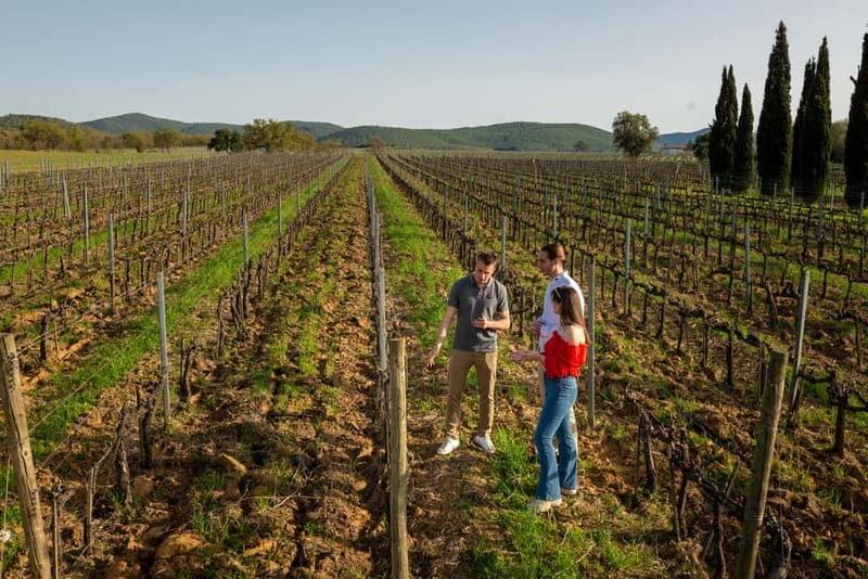 Tuscany: Wine Tasting Experience - Practical Details and Value