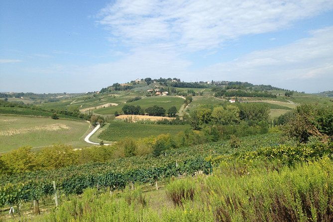 tuscany-wine-tour-from-livorno