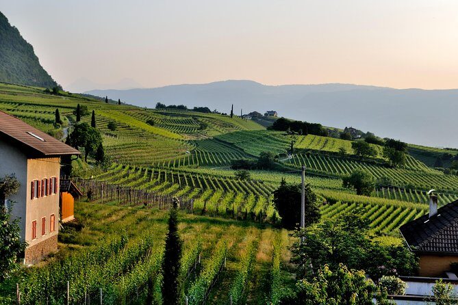 Tuscany Wine Tour from Rome with Private Driver - An In-Depth Look at the Tuscany Wine Tour