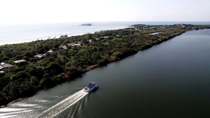 Tweed Heads: Tweed River and Rainforest Cruise with Lunch - Analyzing the Value: Is It Worth It?
