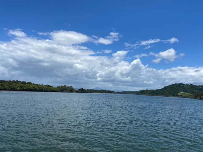 Tweed River Cruise: relax with a Morning Tea cruise - Key Points