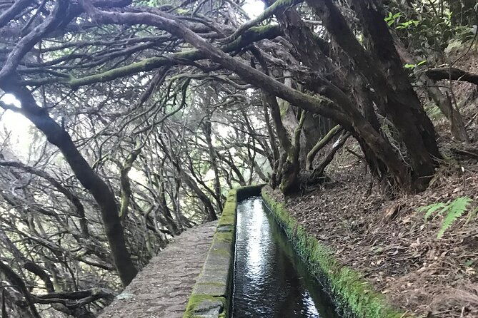 twenty-five-fountains-levada-walks-private