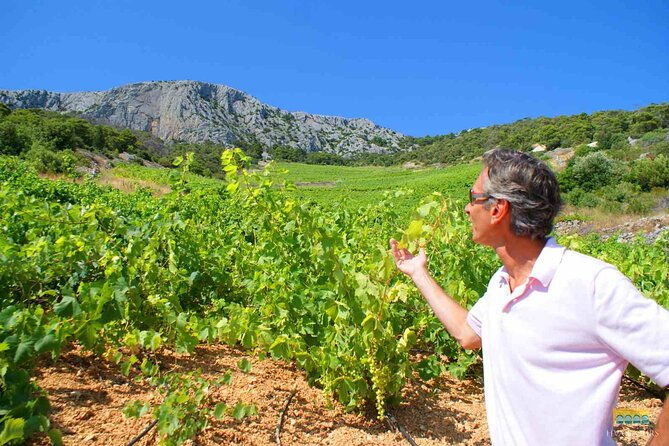 twice-the-wine-two-wineries-half-day-tour-with-delicacies