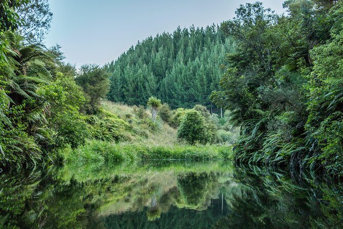 Twilight Glowworm Kayak Tour  Lake Karapiro - Key Points