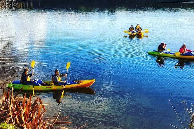 Twilight Glowworm Kayak Tour  Lake Karapiro - Why This Tour Offers Great Value