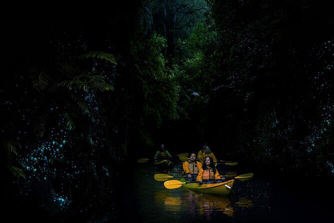 Twilight Glowworm Kayak Tour  Lake Karapiro - Authentic Insights from Reviewers