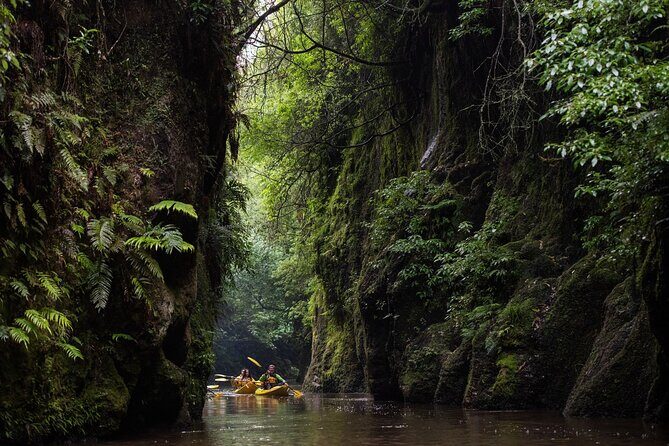 Twilight Glowworm Kayak Tour  Lake Karapiro - Who Will Love This Experience?