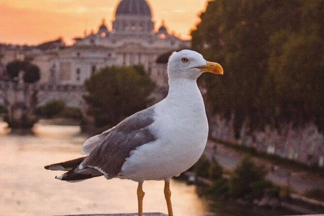 twilight-magic-private-golf-cart-tour-of-rome-with-aperitivo