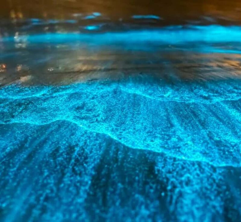 Twilight Sea Canoe Phang Nga Bay with Bio-Luminescent - What Makes This Tour Special?