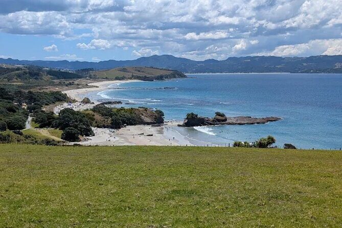 Twilight Wild Kiwi Bird Encounter Private Tour - Who Will Love This Tour?