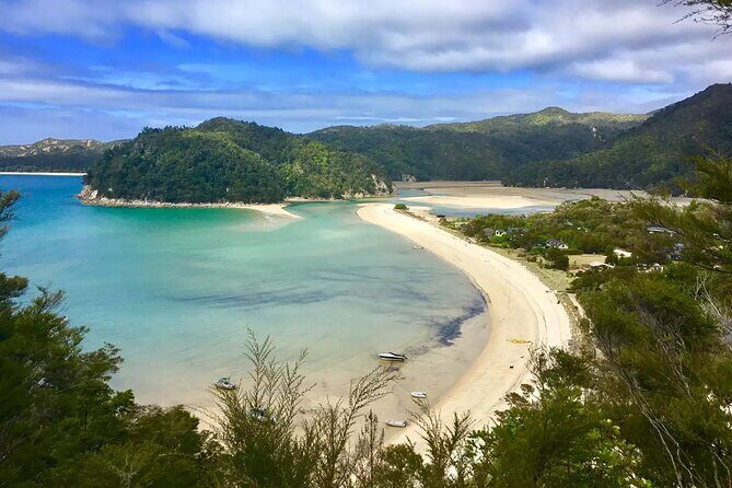 Twilight Wild Kiwi Bird Encounter Private Tour - Final Thoughts