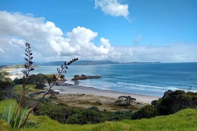 Twilight Wild Kiwi Bird Encounter Private Tour - FAQs