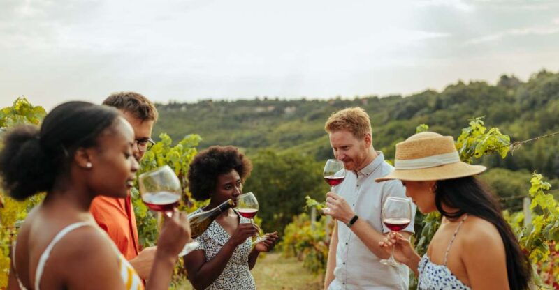 twin-falls-guided-half-day-scenic-tour-and-wine-tasting