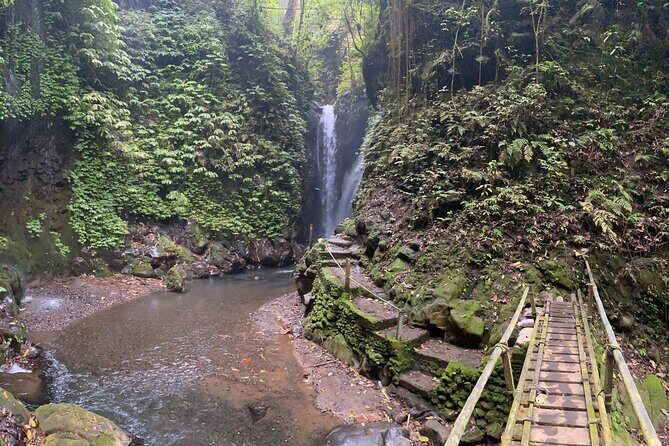 Twin Waterfalls Private Tour in Bali - The Scenic Highlights