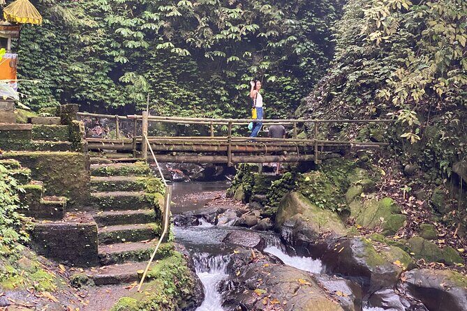 Twin Waterfalls Private Tour in Bali - Who This Tour Is Perfect For