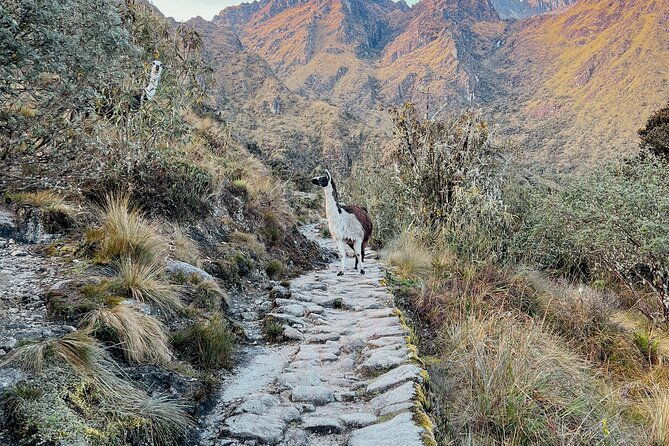 two-day-short-inca-trail-to-machu-picchu