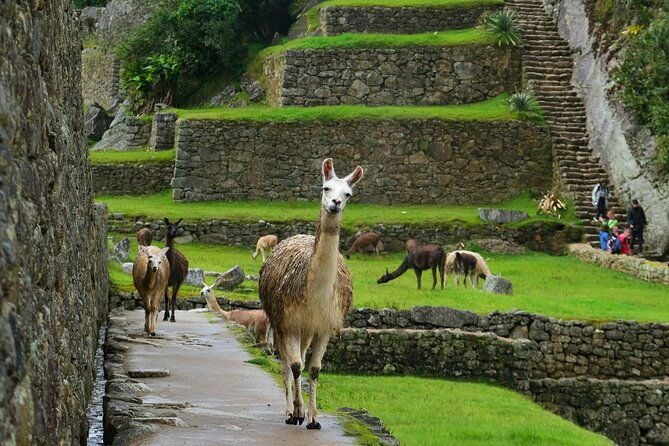 two-day-short-inca-trail-to-machu-picchu