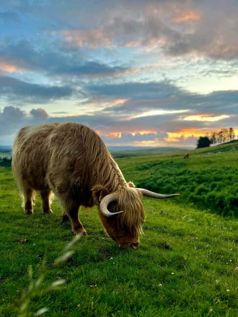 Two Day Taster Tour of Skye and the Highlands - Exploring the First Day: From Edinburgh or Glasgow to the Highlands