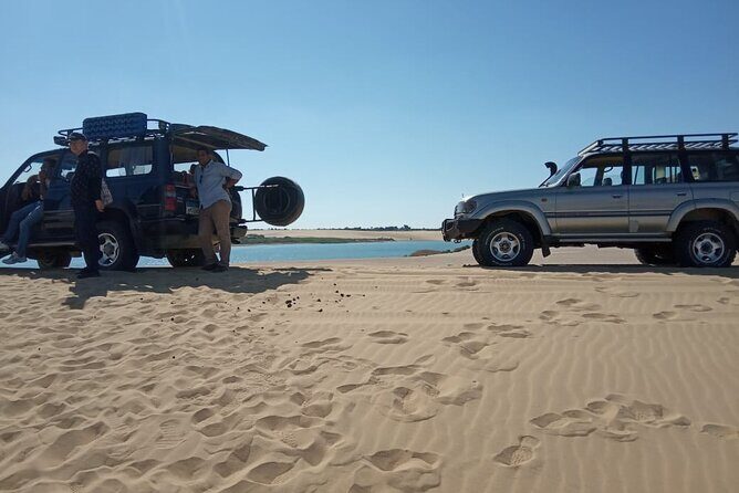 Two Day Tours to Whales Valley , Desert Camping & Giza Pyramids - Who Is This Tour Best For?
