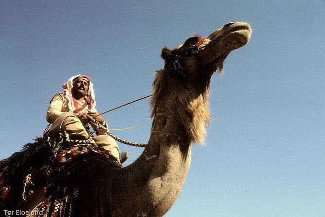 Two Days Camel Safari from Dahab - Exploring Sinai with a Two-Day Camel Safari