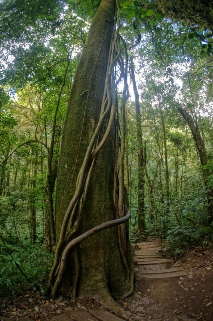 two-days-doi-inthanon-national-park