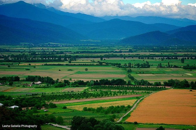 two-days-in-gorgeous-wine-region-with-full-board-meals-and-tastings-from-tbilisi