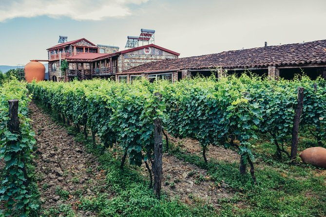 two-days-in-gorgeous-wine-region-with-full-board-meals-and-tastings-from-tbilisi