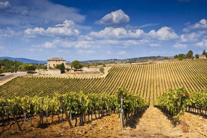 two-days-of-tuscany-discovering-the-nobile-brunello-chianti-area