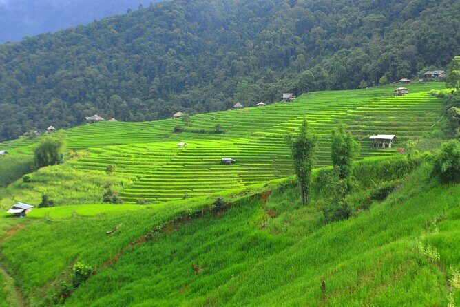 Two Days Pa Pong Piang - Key Points