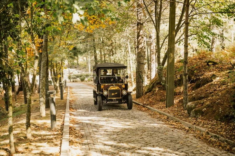 Two days to visit Fall Foliage in Douro Valley - An In-Depth Look at the Two-Day Douro Valley Tour
