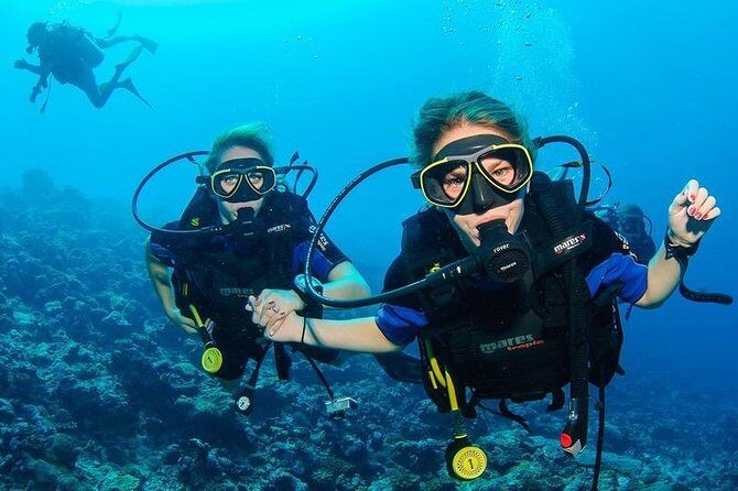 Two Dives for certified divers in Fujairah - Exploring Two Dives for Certified Divers in Fujairah: An Authentic Underwater Adventure