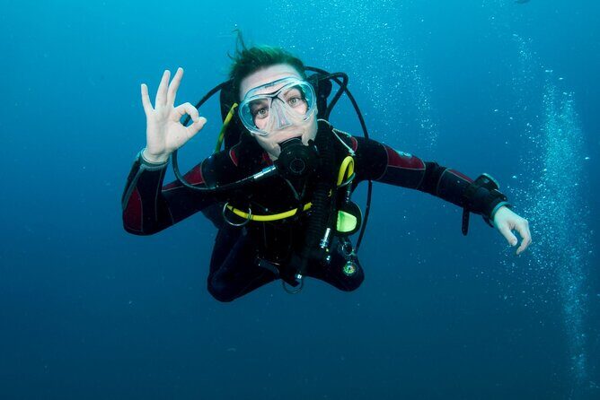 Two Dives for certified divers in Fujairah - Who Would Love This Tour?