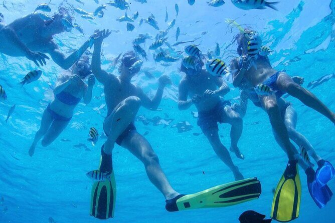 Two Dives for certified divers in Fujairah - FAQ