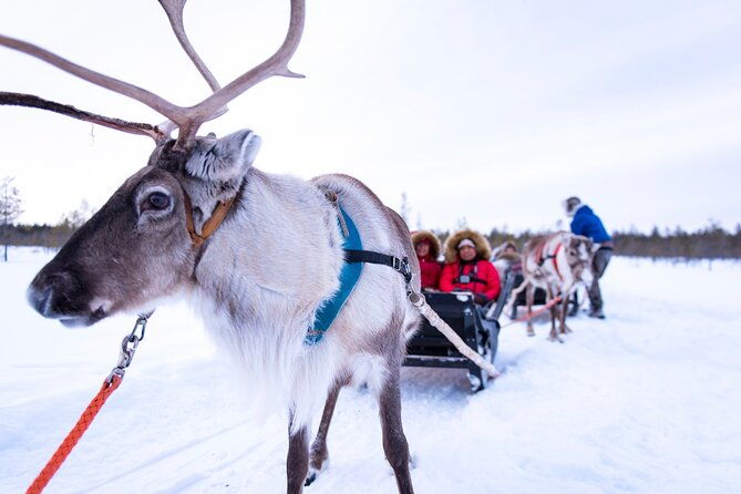 two-full-days-in-lapland