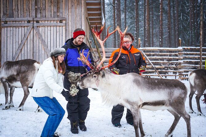 two-full-days-in-lapland