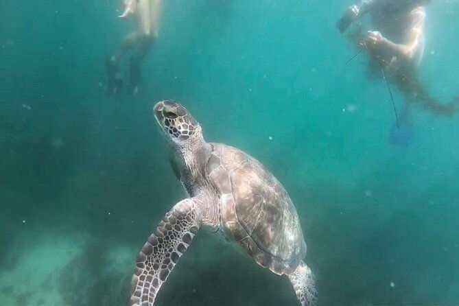 two-hour-kayak-and-snorkel-tour-for-two-in-la-jolla