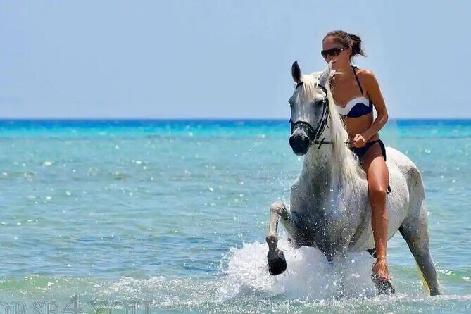 Two hours adventure Horse Riding with Transfer From Hurghada - What to Expect from the Tour
