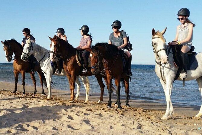 Two hours adventure Horse Riding with Transfer From Hurghada - How This Tour Compares to Other Experiences