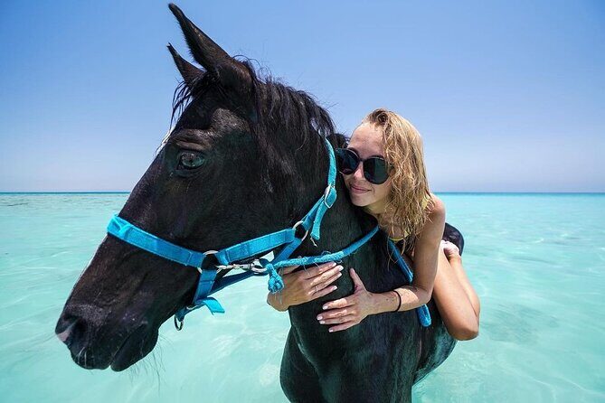Two hours adventure Horse Riding with Transfer From Hurghada - The Sum Up: Who Will Love This Experience?