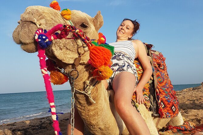 Two hours Camel Riding At Amazing Desert With Transfer - Marsa Alam - Key Points