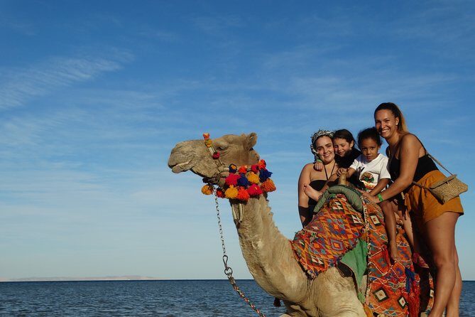 Two hours Camel Riding At Amazing Desert With Transfer - Marsa Alam - Who Would Love This Experience?