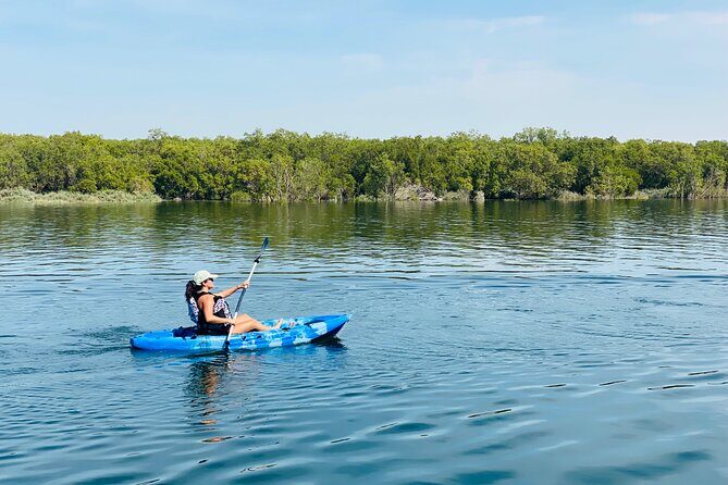 Two Hours Guided Kayaking Tour Reem Central Park Abu Dhabi - Who Should Consider This Tour?
